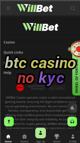 BTC Casino No KYC - Anonymous Bitcoin Gambling Sites-casinoorder.vip