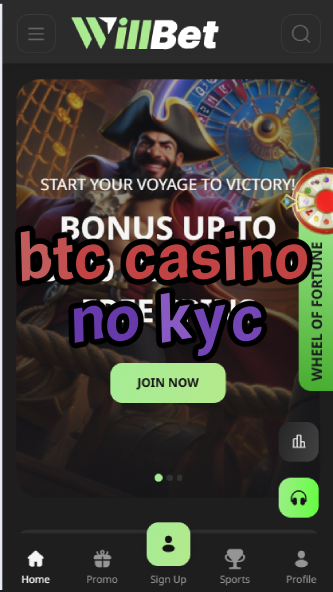 BTC Casino No KYC - Anonymous Bitcoin Gambling Sites-casinoorder.vip